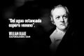 Lo mejor de William Blake (+Frases)