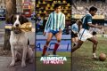 Alimenta tu Mente: Trofeo robado, Francia de verde y blanco y la India descalza