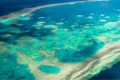 Los arrecifes de coral parecen distintos alrededor del mundo pero siguen las mismas reglas matemáticas
