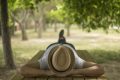 Dormir la siesta ayuda a la memoria