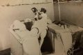 La trágica historia de Laika, la primera perrita que fue al espacio