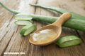 El aloe vera, la versatilidad de una planta