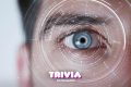 Test: ¿Qué tan buen ojo tienes? ¡Compruébalo!