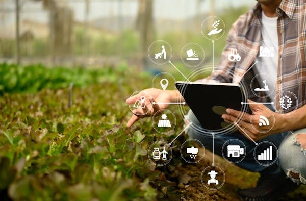 Agricultura de precisión, cuando la IA llega al campo