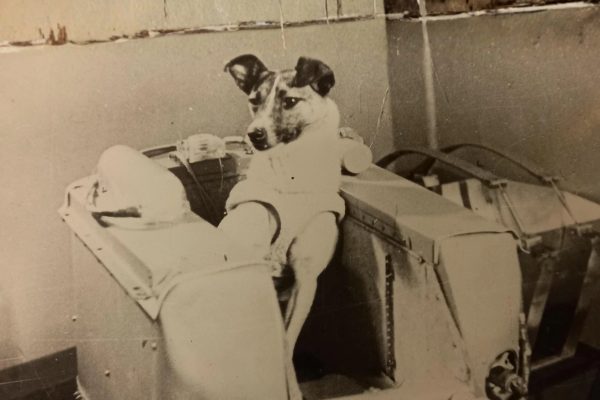 La trágica historia de Laika, la primera perrita que fue al espacio