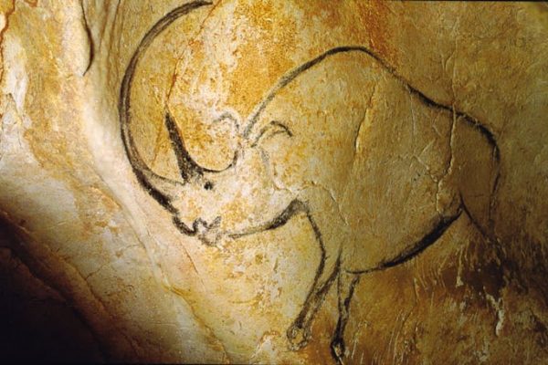 Los neandertales utilizaban dientes de rinoceronte para tallar la piedra