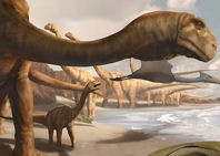 Un dinosaurio angoleño, el último superviviente de los saurópodos primitivos