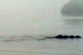 La versión inglesa del monstruo del Lago Ness ya tiene foto