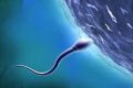 ¿Alergia al semen?