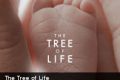 Polémica y expectativas ante “El árbol de la vida” en Cannes
