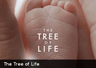 Polémica y expectativas ante “El árbol de la vida” en Cannes