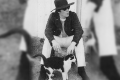 John Lennon fue un gran amante de los gatos