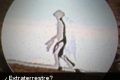 Grupo de observación OVNI de Taiwan fotografió un supuesto alien transparente (+ Imagen)