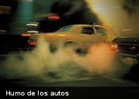 Estudio revela: el humo de los autos afecta el colesterol