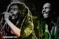 Aquel último concierto de Bob Marley (+Video)