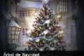 ¿Sabes cómo celebrar una Navidad especial y ecológica?