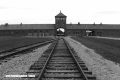 A propósito del Día Internacional en memoria de las víctimas del Holocausto