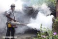 Florida declara emergencia sanitaria por virus de Zika