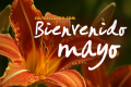¡Bienvenido mayo!