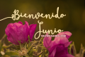 ¡Bienvenido junio!