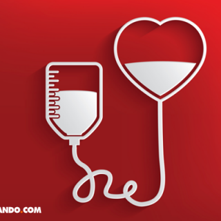 Mitos y verdades sobre la donación de sangre