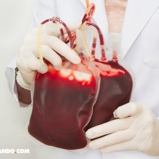 La primera transfusión: un hito médico histórico