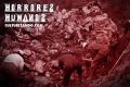 Horrores Humanos: La Masacre de Srebrenica (+Video)
