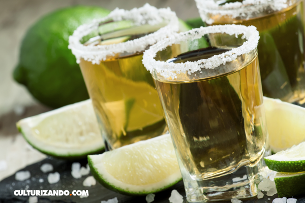 Tequila –  | Alimenta tu Mente