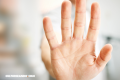 La Nota Curiosa: ¿Por qué tenemos líneas en las palmas de las manos?