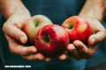 La Nota Curiosa: ¿Sabes qué es un frugívoro?