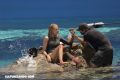 5 datos sobre ‘The Shallows’ (+Behind the scenes)