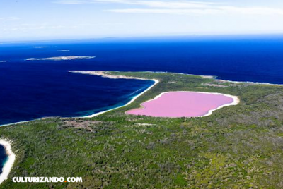 Lugares increíbles: Lagos rosas de Australia – culturizando.com ...