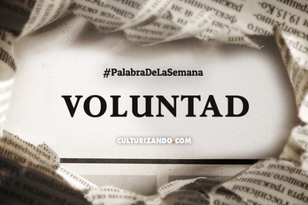 Palabra de la semana: «Voluntad» (+Frases)