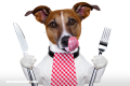 10 alimentos que nunca debes darle a tu mascota
