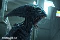 Nuevas imágenes de algunas de las películas más esperadas de este 2017