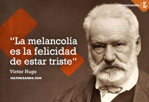 Frases Celebres De Victor Hugo En Frances Fairepaylumi S Diary