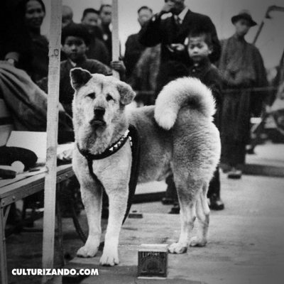 Un día como hoy: 8 de marzo en la historia