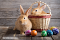 La Nota Curiosa: El origen del conejo de Pascua