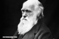 Charles Darwin: El científico que revolucionó la ciencia desde la naturaleza