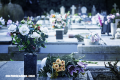 ¿Por qué se llevan flores a los cementerios?