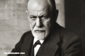 El loco amor de Sigmund Freud por los perros