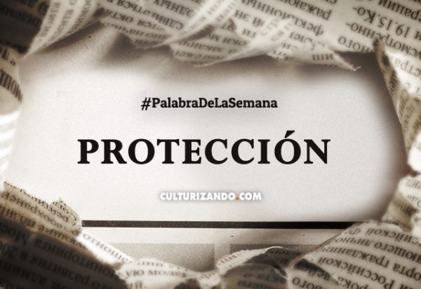 Palabra de la semana: «Protección» (+Frases)