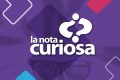 La Nota Curiosa: ¿Cuál es el animal más lento del mundo?