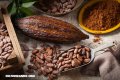 De cacao a chocolate, ¿cuál es el proceso?