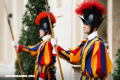 Guardia Suiza, los protectores del papa por los siglos de los siglos