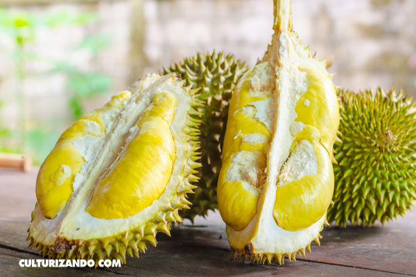 Unduh 97+ Gambar Durian Terbaik Gratis HD