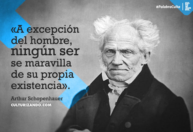 Schopenhauer, el filósofo que amaba a los animales –  |  Alimenta tu Mente
