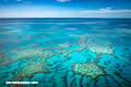 Sumérgete en la Gran Barrera de Coral australiana con estas fotos
