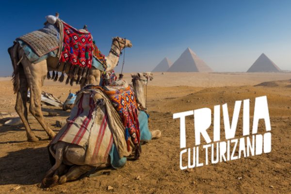 ¿Qué tan buena es tu cultura general? ¡Te retamos!
