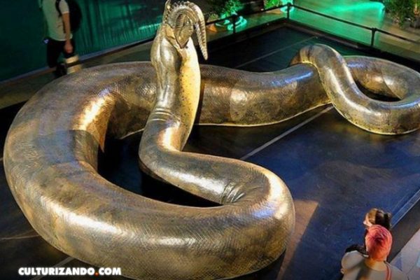 La ‘Titanoboa’, La Serpiente Más Grande De La Historia